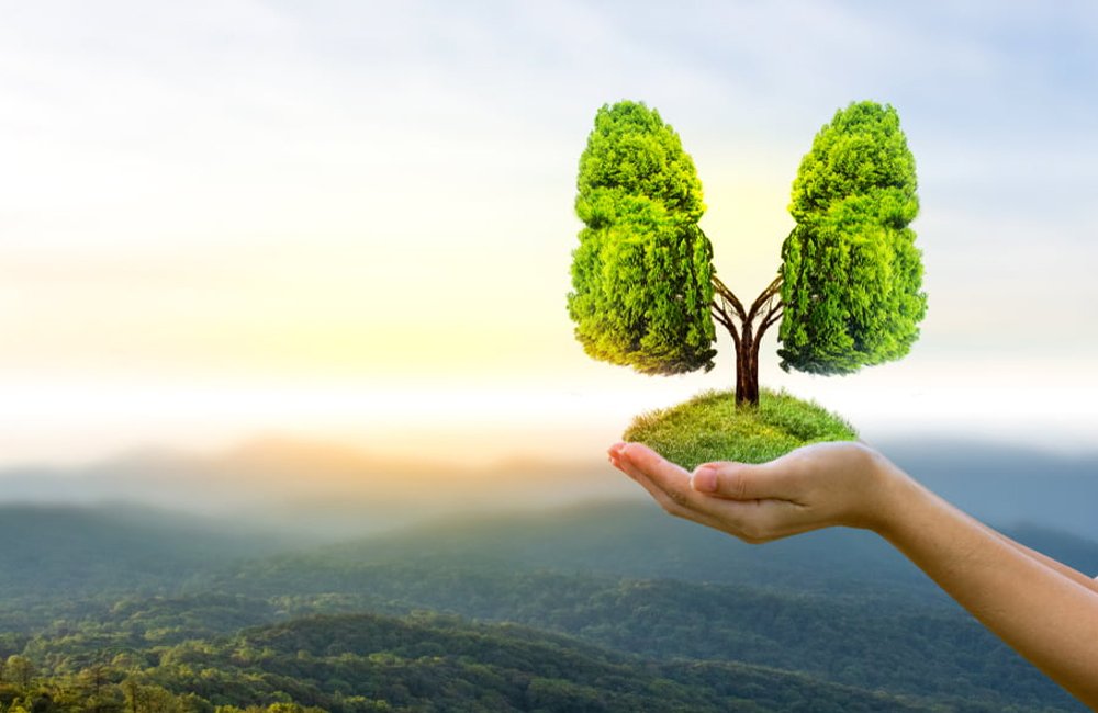 Environmental Sustainability